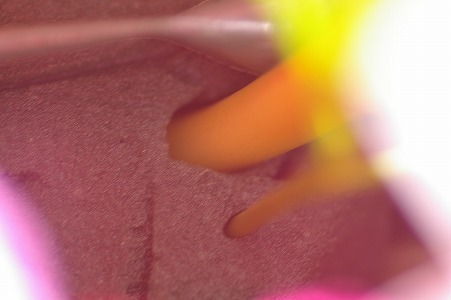 IMGP4137.jpg